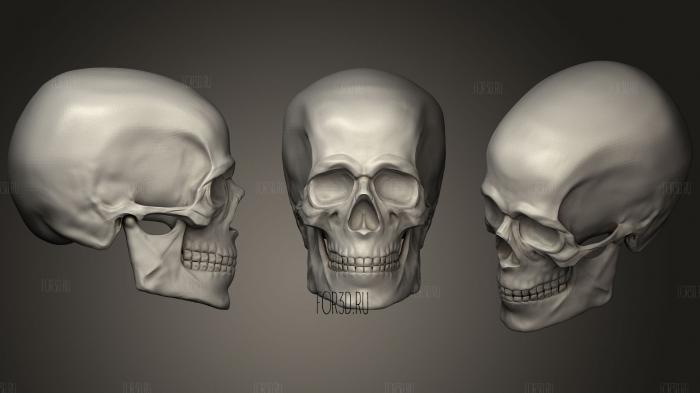 Head Skull Practice stl model for CNC